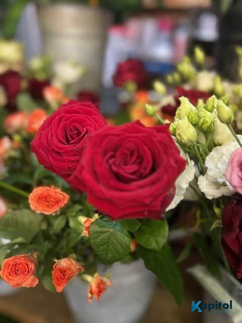 Fleuriste · 33 m² · Fonds de commerce — photo 1