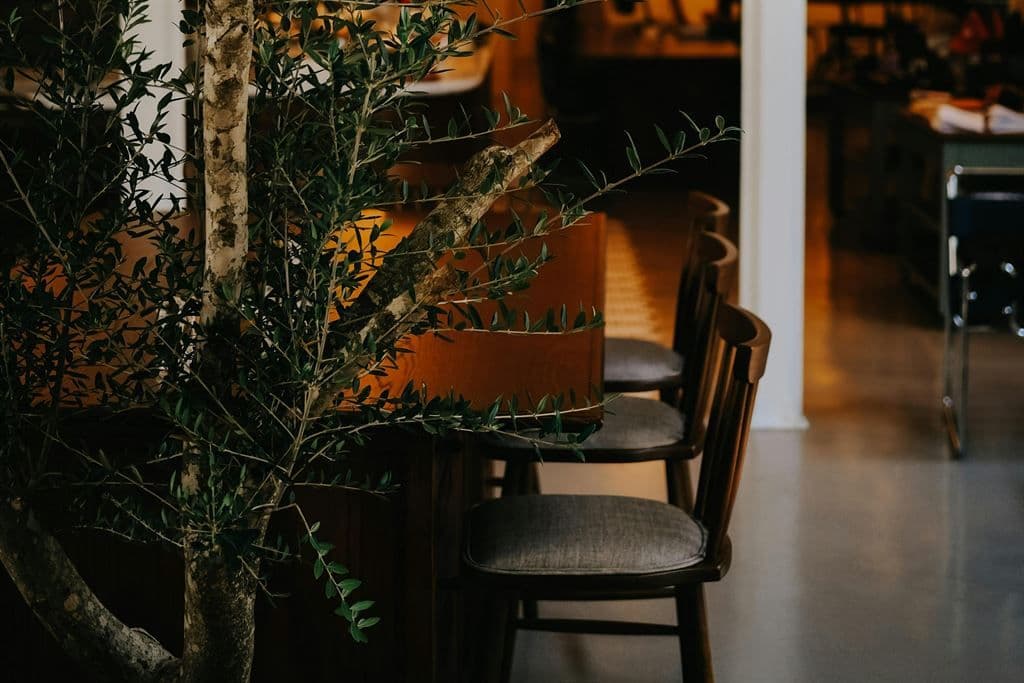 Restaurant · 300 m² · Fonds de commerce — photo 1