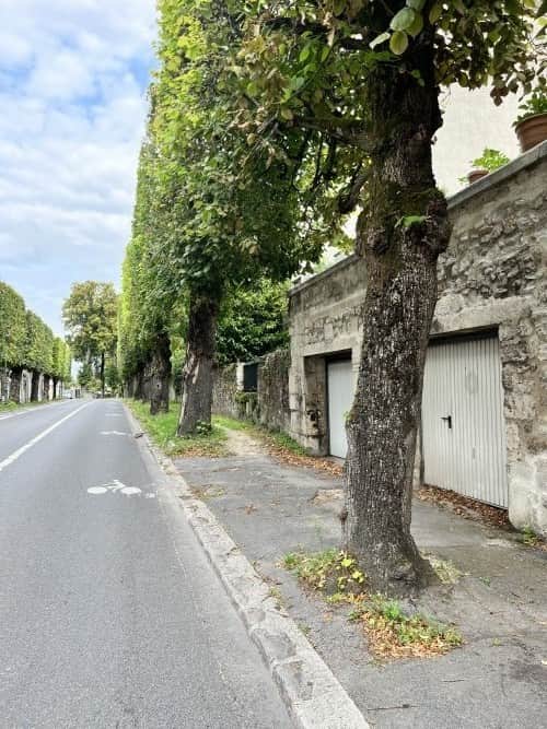 Murs commerciaux · 117 m² · Achat des murs — photo 1